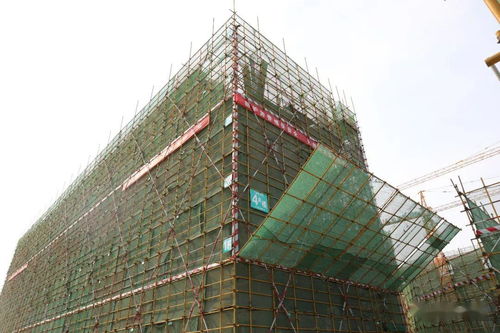 發(fā)展為要 項(xiàng)目為王 實(shí)干為先 我區(qū)召開重點(diǎn)基礎(chǔ)設(shè)施建設(shè)項(xiàng)目觀摩總結(jié)會(huì)